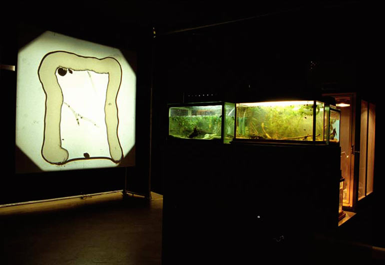 Werk van Peter van der Heijden