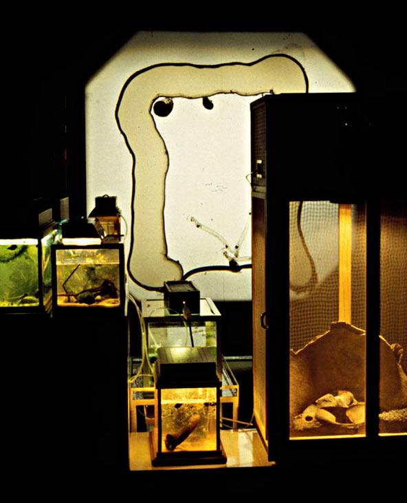 Werk van Peter van der Heijden