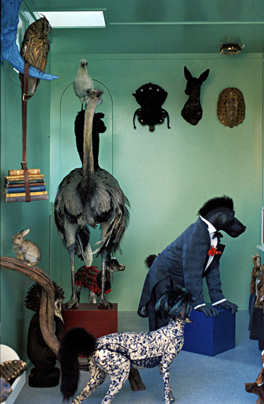 Werk van Peter van der Heijden