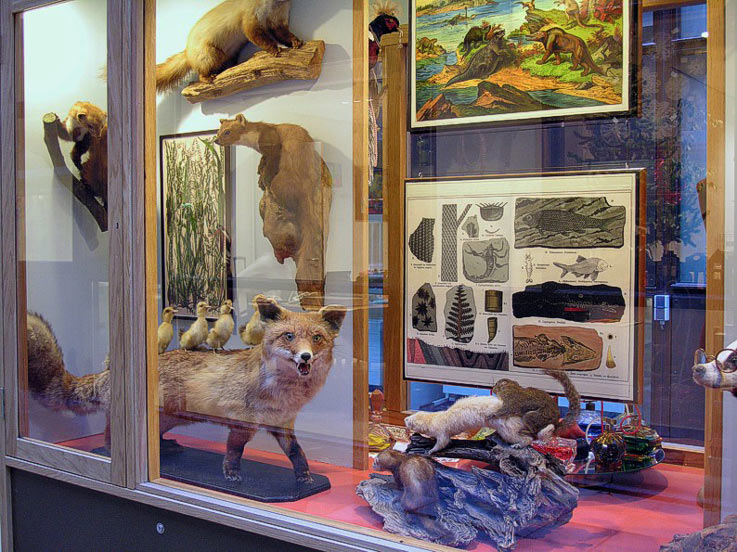 Werk van Peter van der Heijden