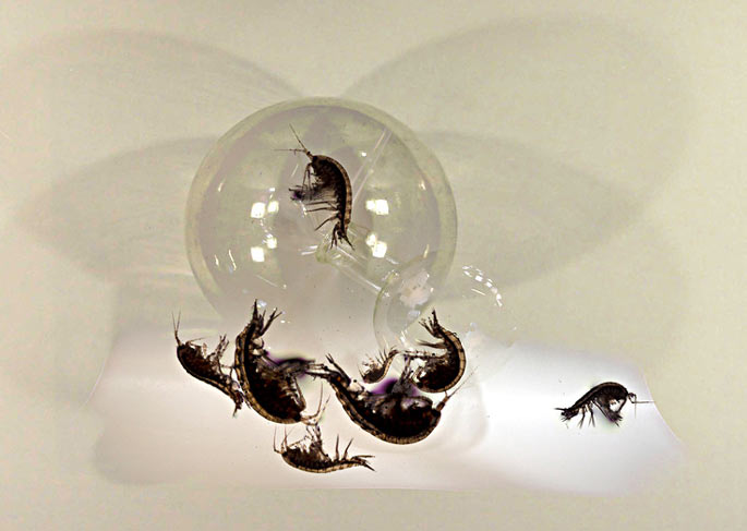 Loading: Werk van Peter van der Heijden