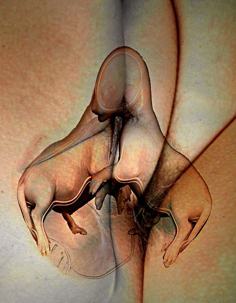 Loading: Werk van Peter van der Heijden