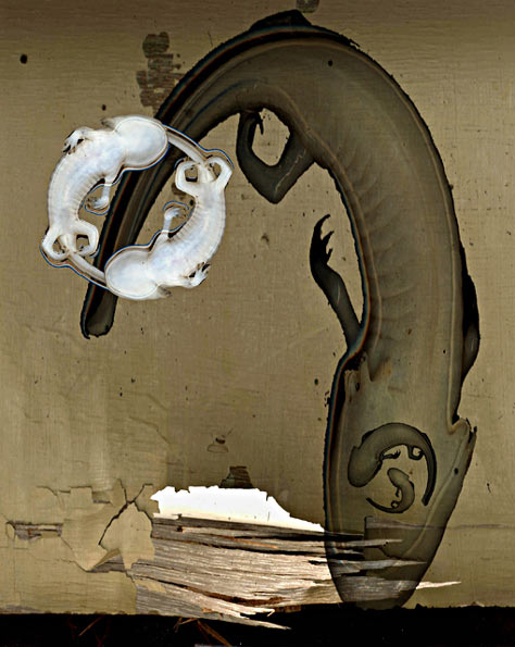 Loading: Werk van Peter van der Heijden