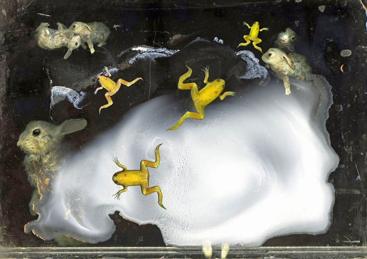 Werk van Peter van der Heijden