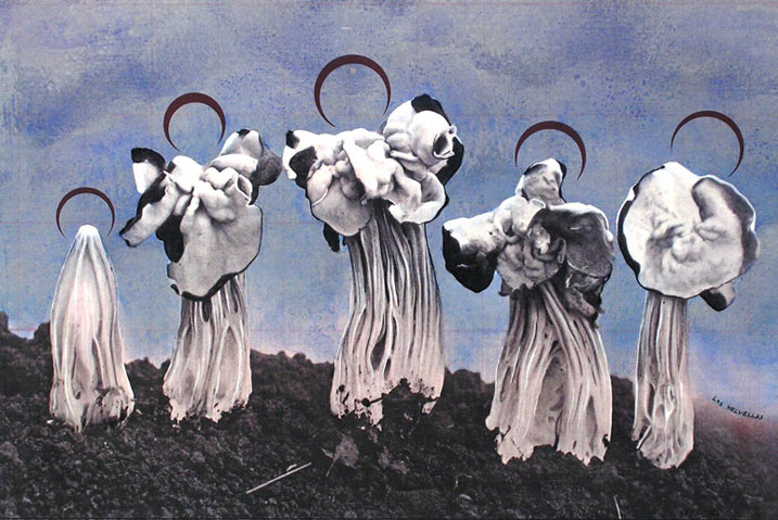 Loading: Werk van Peter van der Heijden